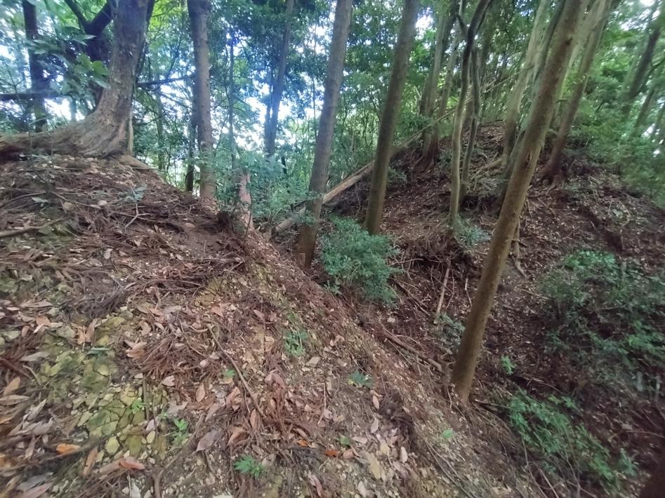 大三ヶ岳城