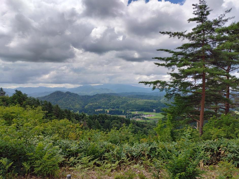 高城城