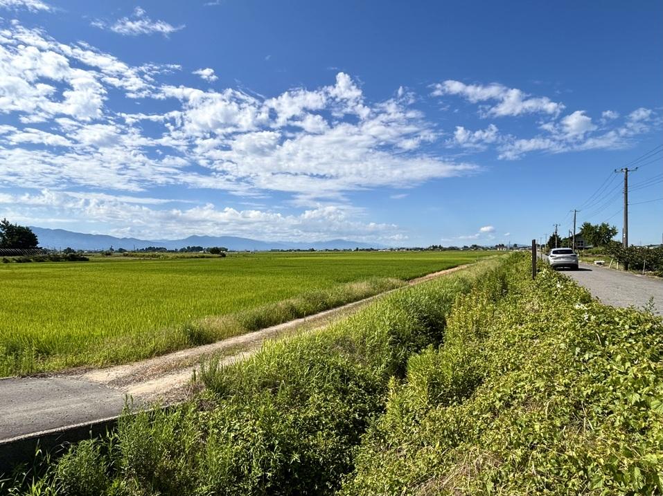 長場館