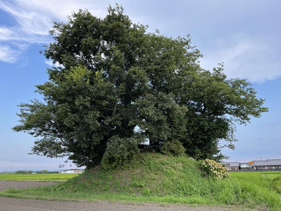 木造城