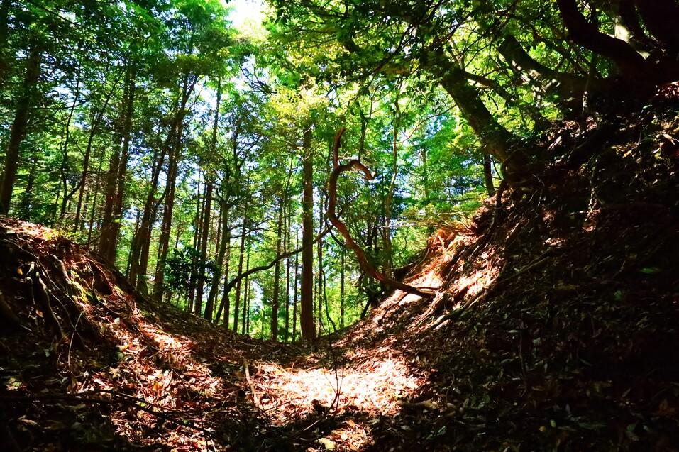 西岡城