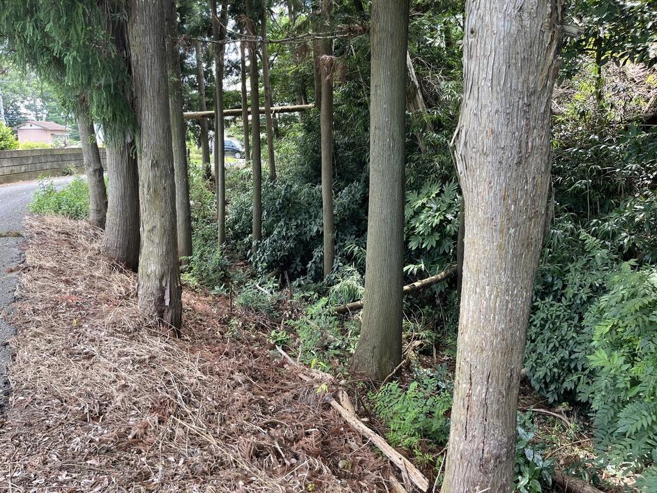 石岡城