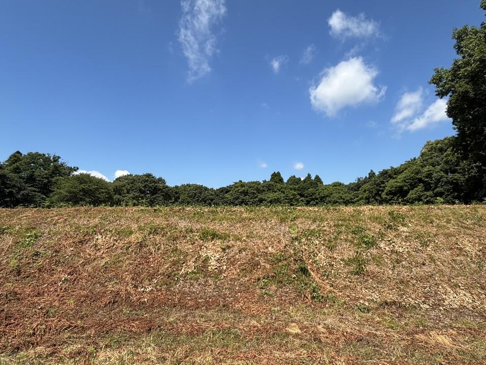 吉田城