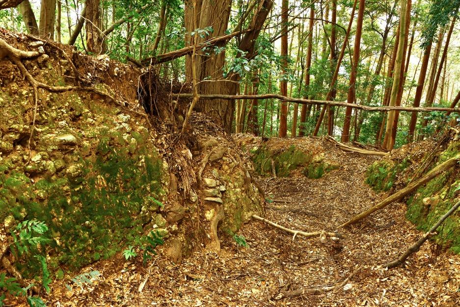 尾和谷城