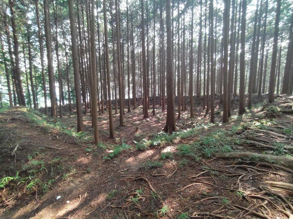 古宮城