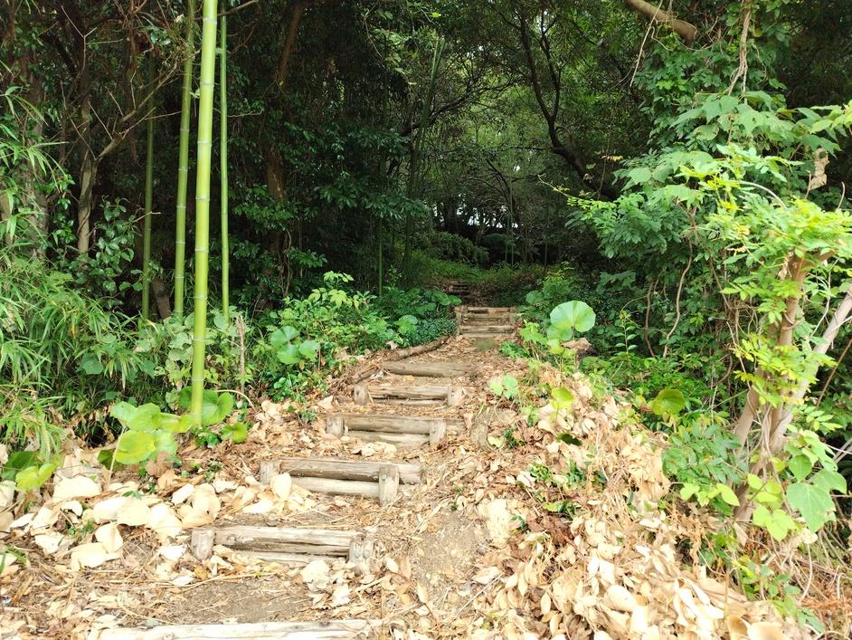 布勢天神山城