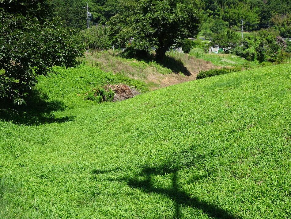 岡城