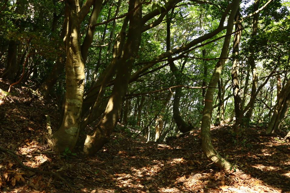 西岡城