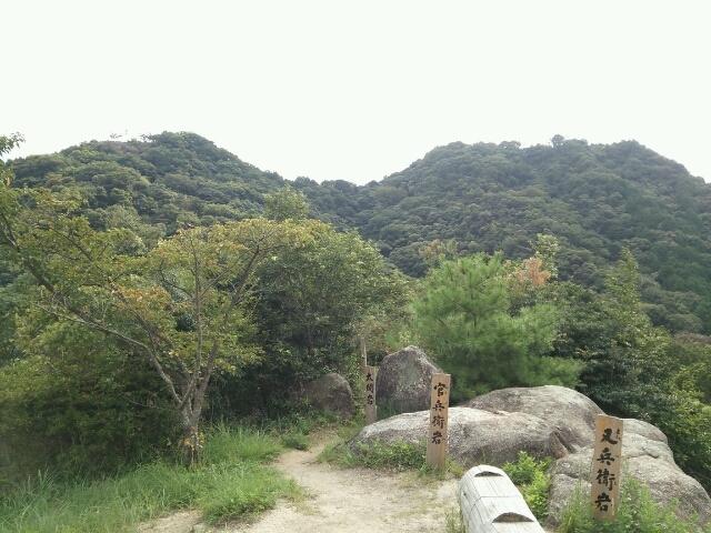 馬ヶ岳城