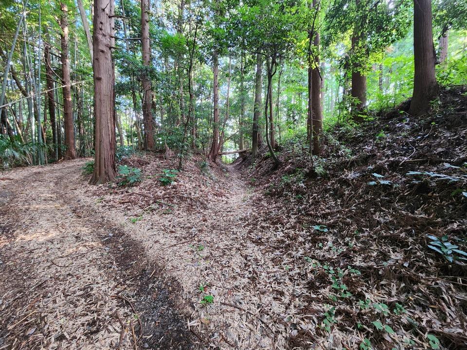 馴馬城