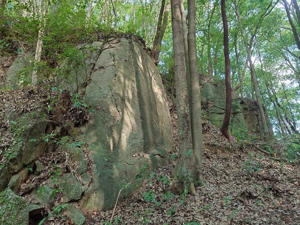 松平氏城館