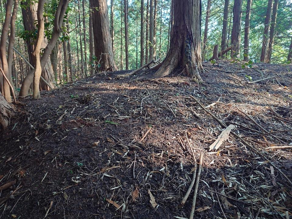 香音寺城