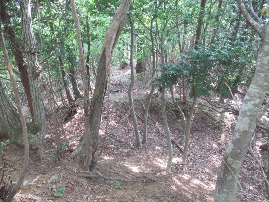 温泉城