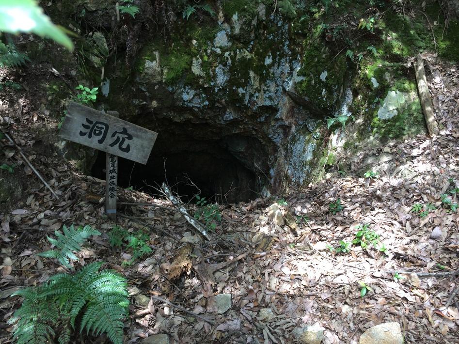 鷲尾山城