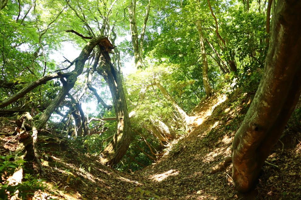 西岡城