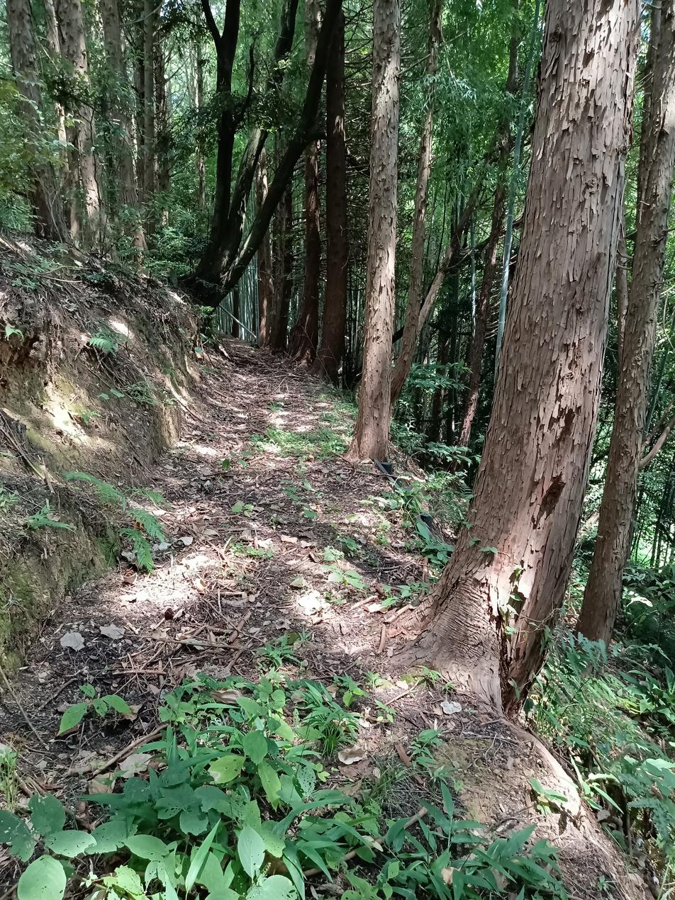 おつぼ山神籠石
