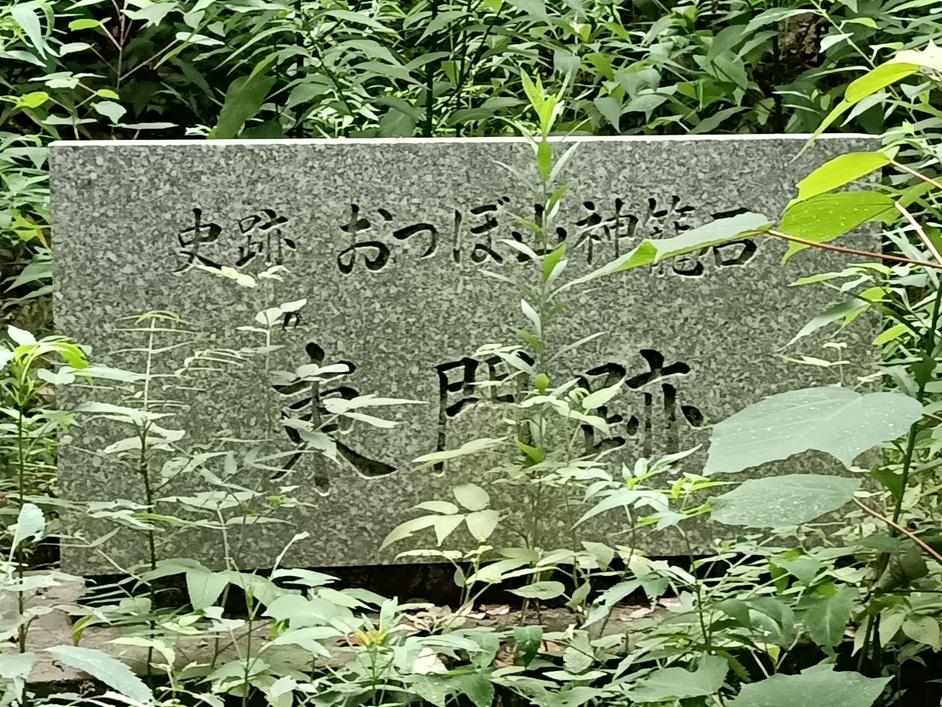 おつぼ山神籠石