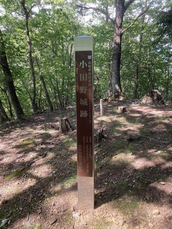 小田野城