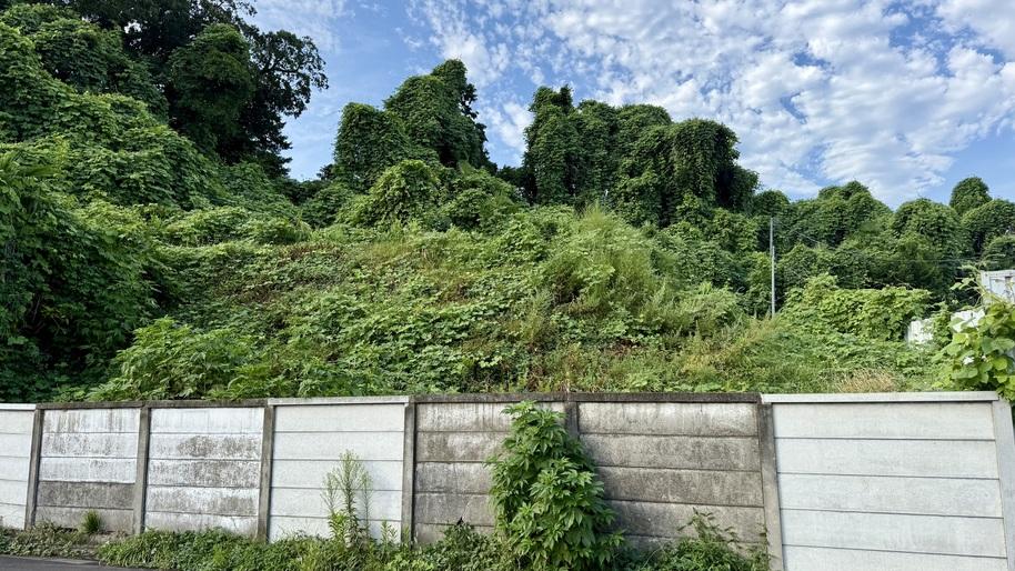 愛宕山砦