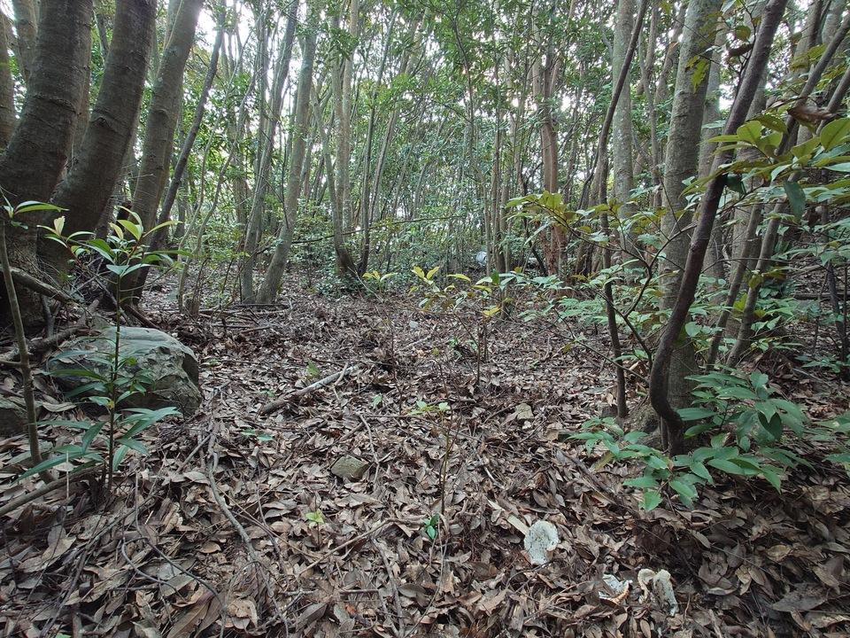 城ケ森城