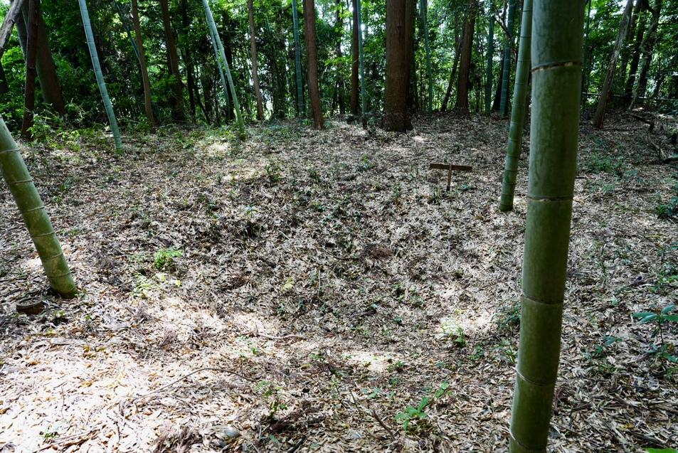 犬飼城