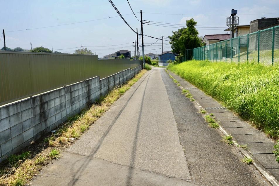 金野井城