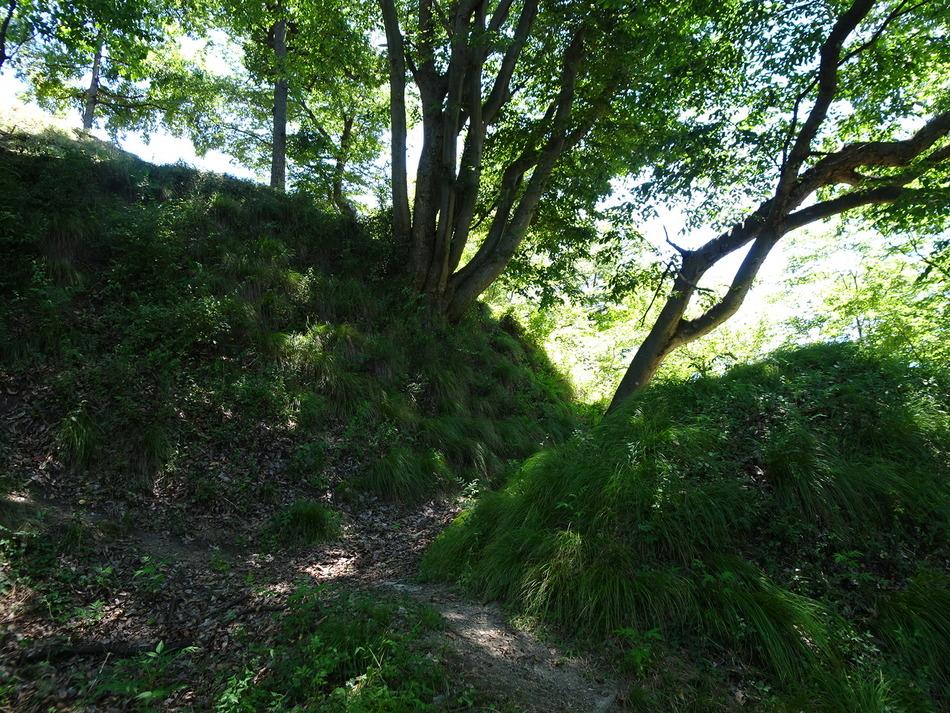 屋代城