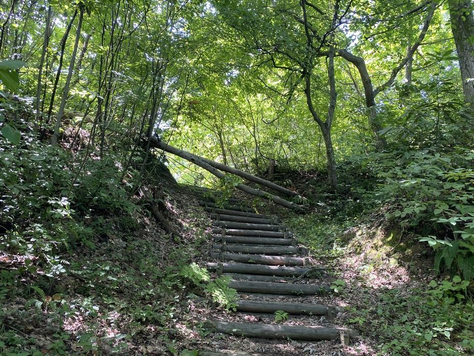 五十公野城