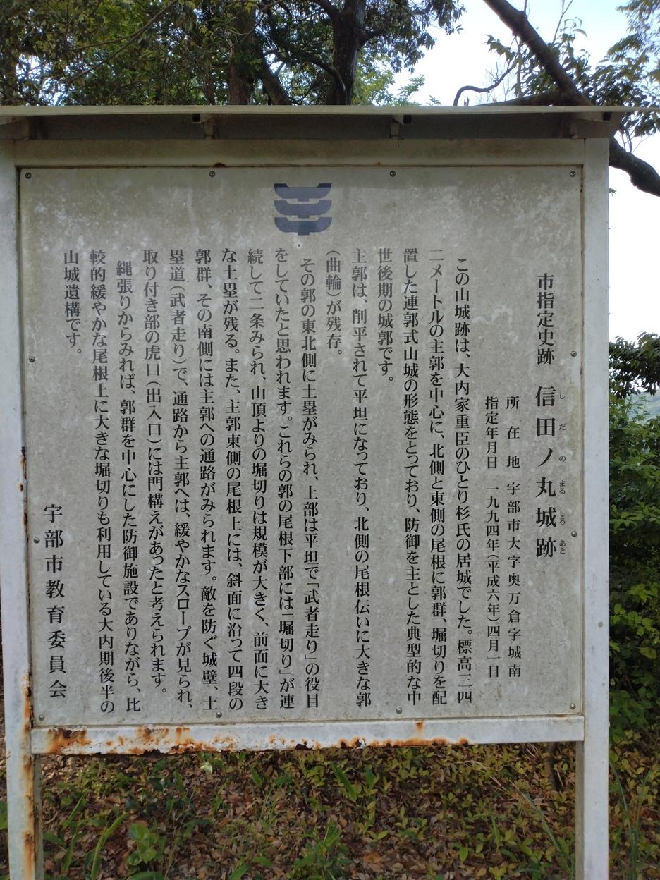 信田ノ丸城