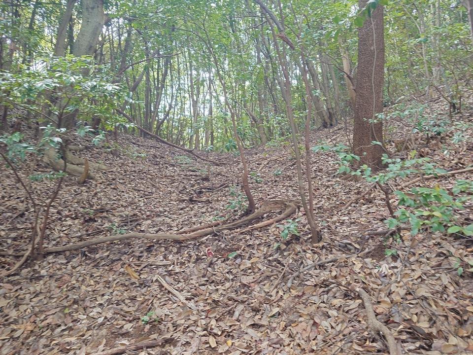 会下城
