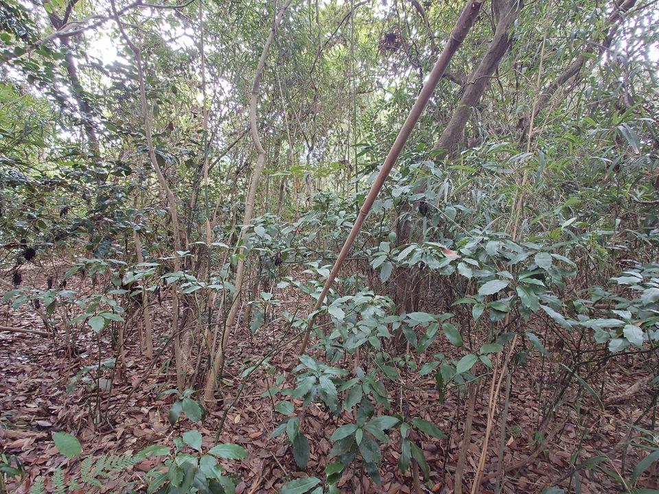 宮吉城