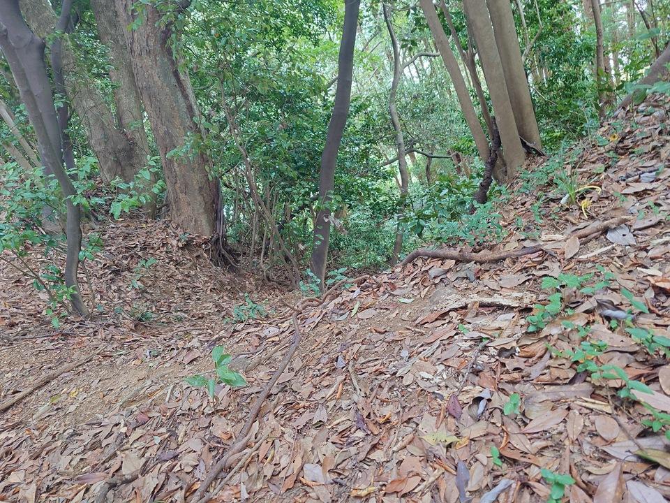 宮吉城
