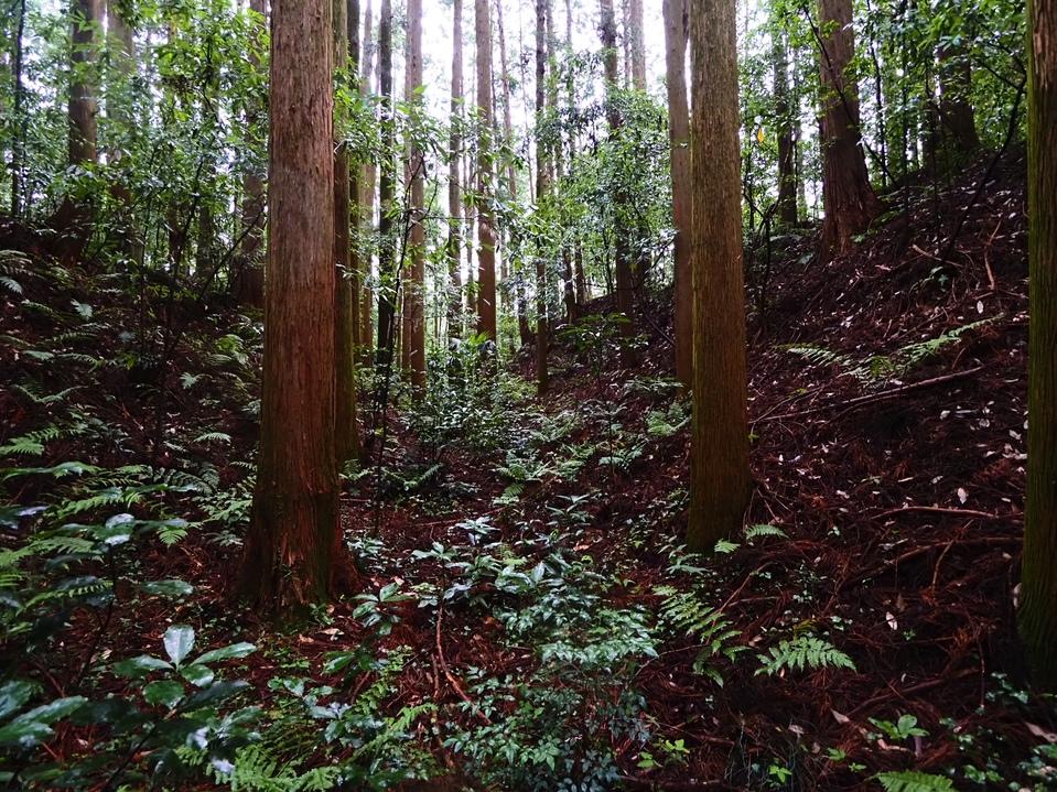 大宮城