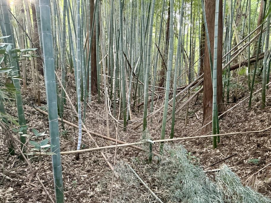 吉田城