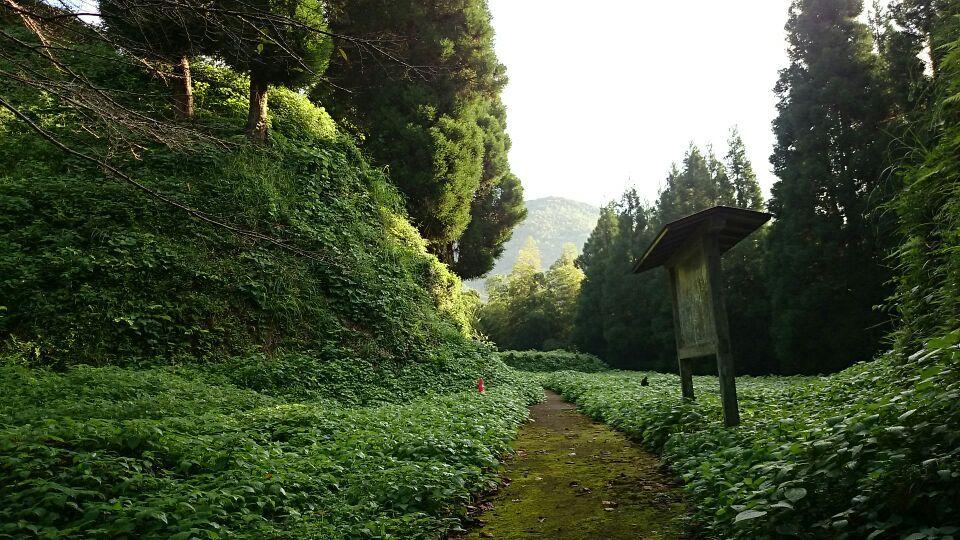 田中城