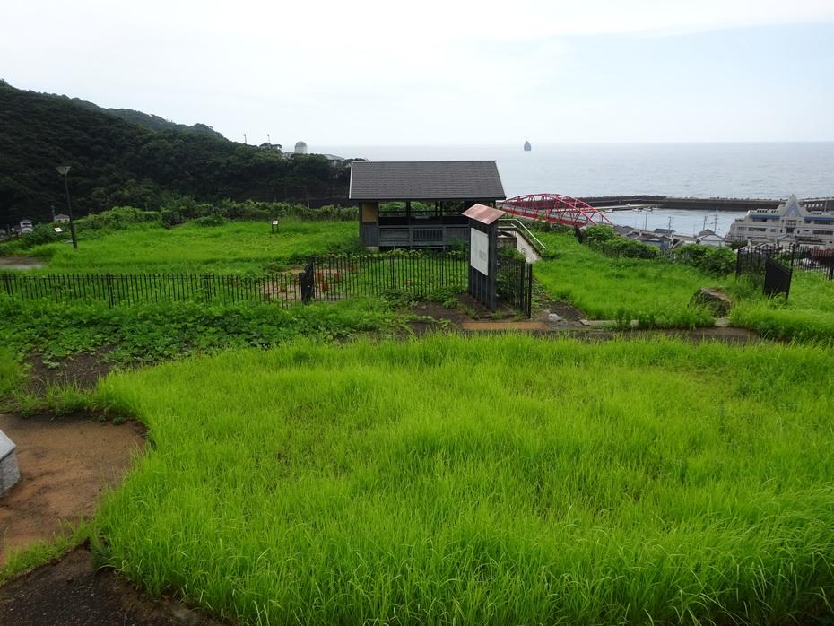 神浦城