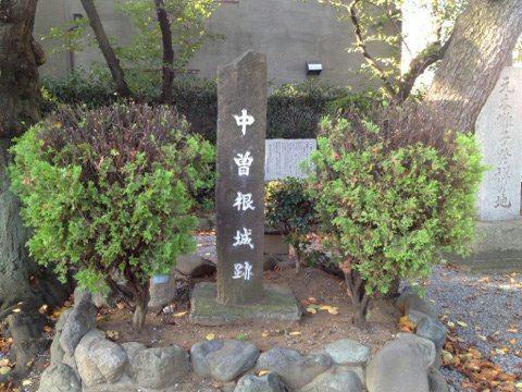 中曽根城