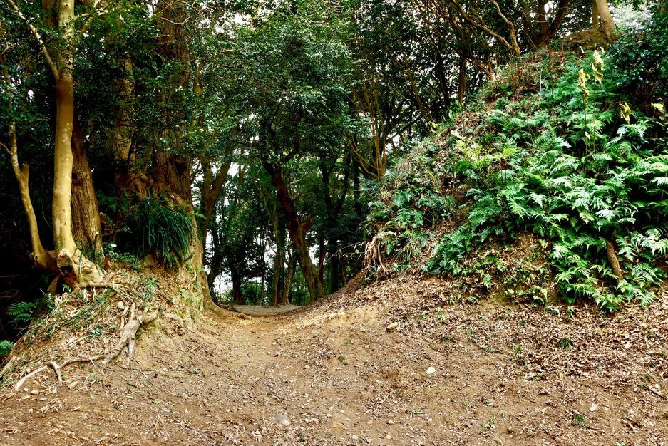 高鍋城