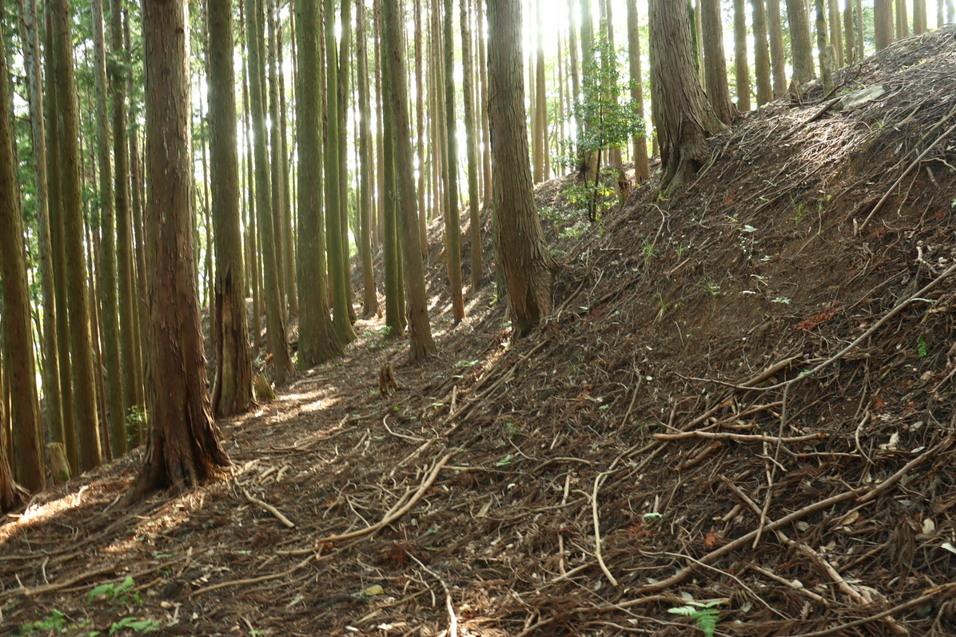 山家城