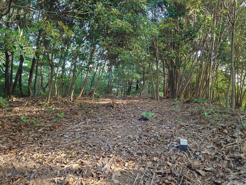 小坊子城