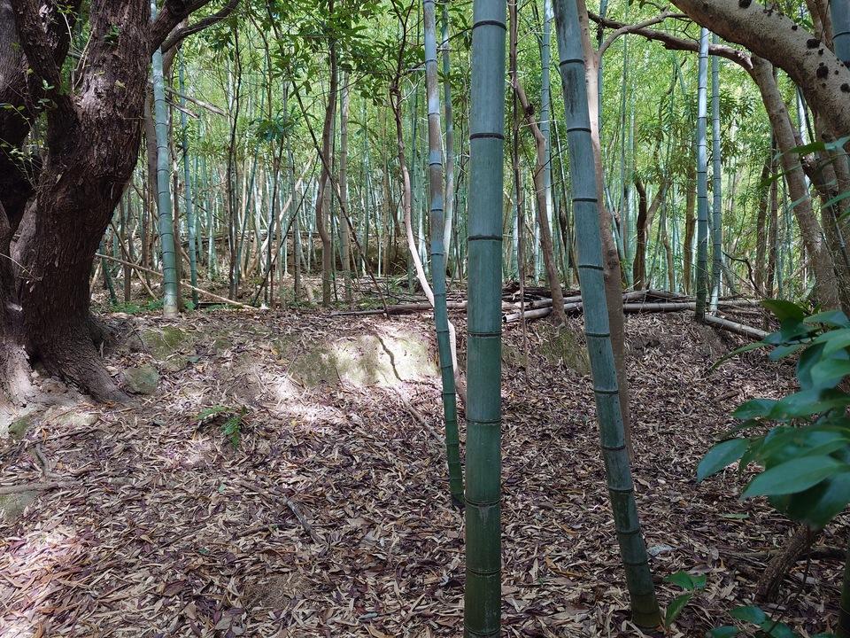 入山城
