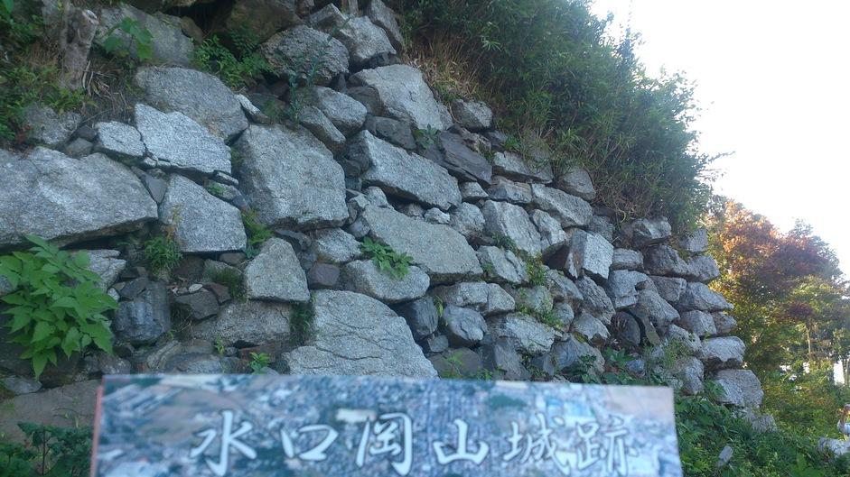 水口岡山城