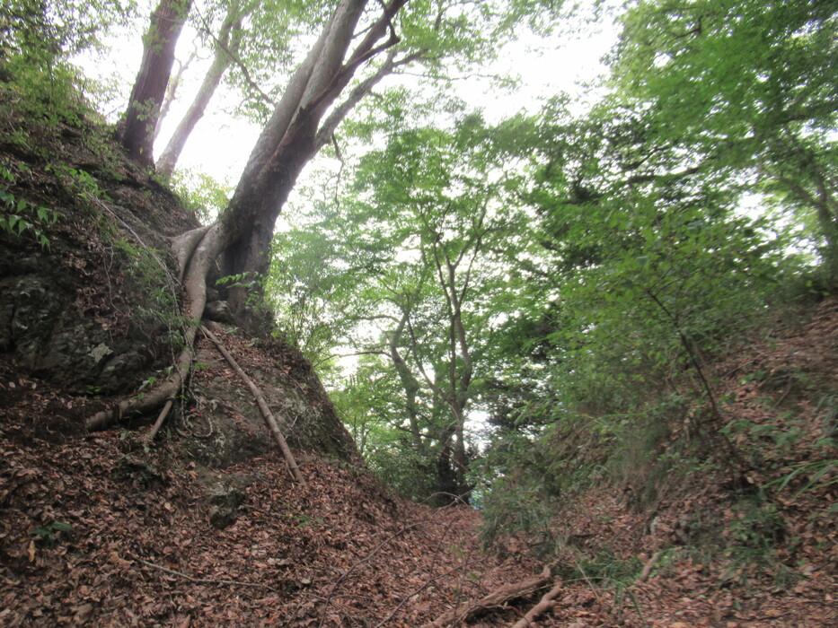 月居城