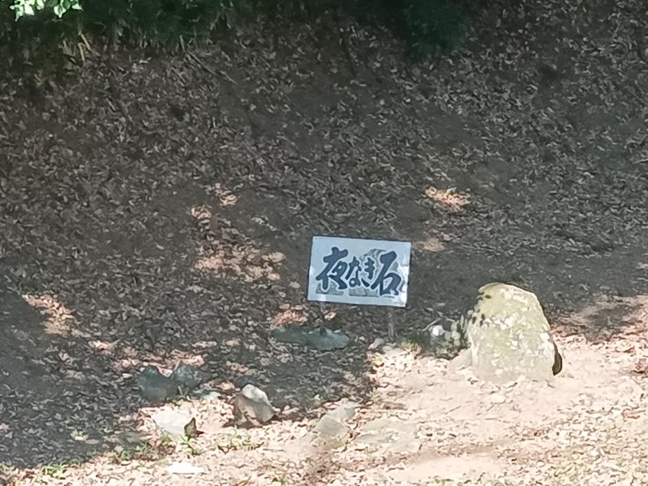 雉岡城