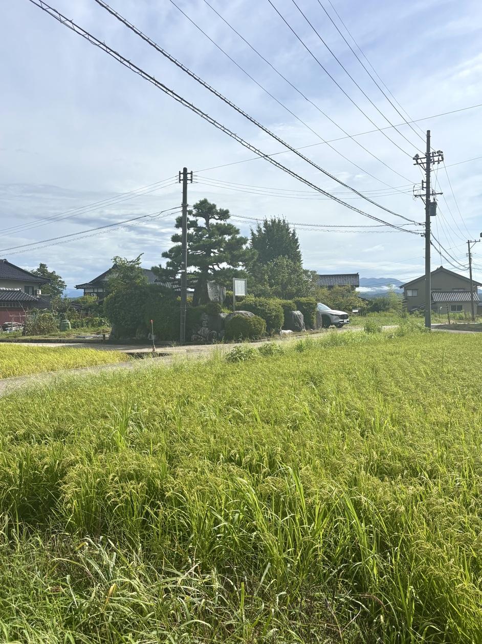 蓮沼城