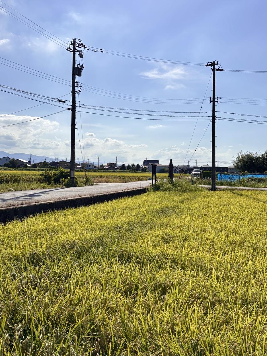 太田本郷城