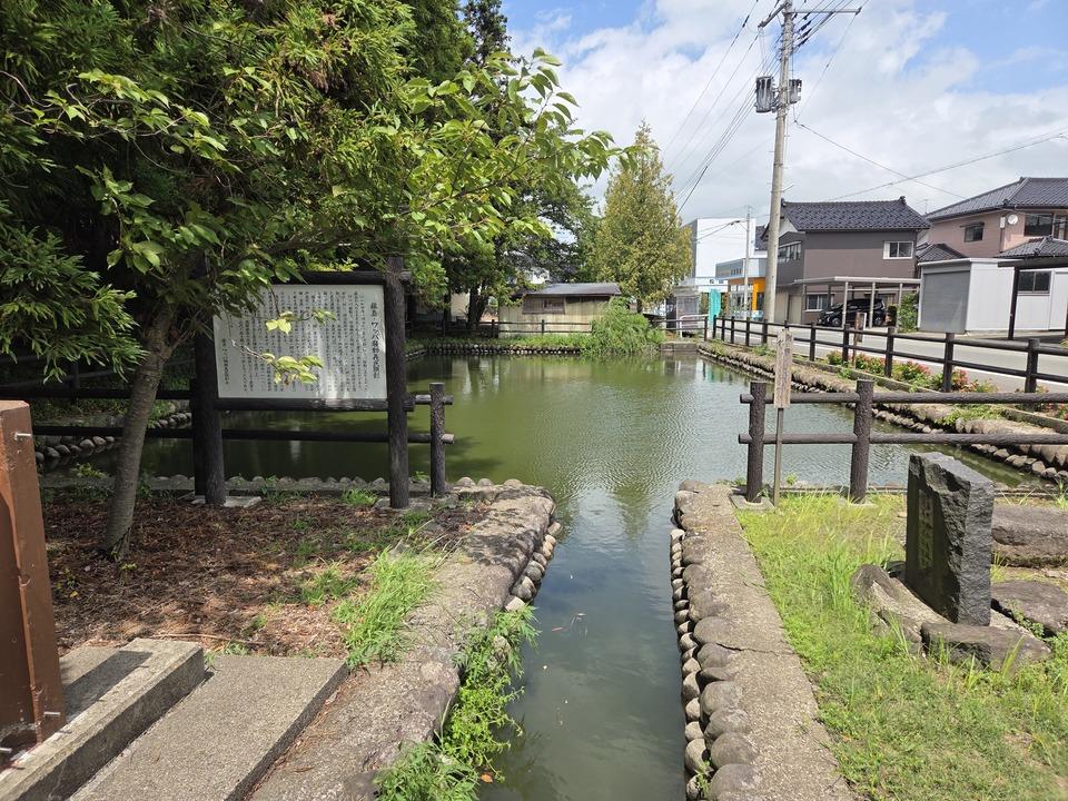 藤島城