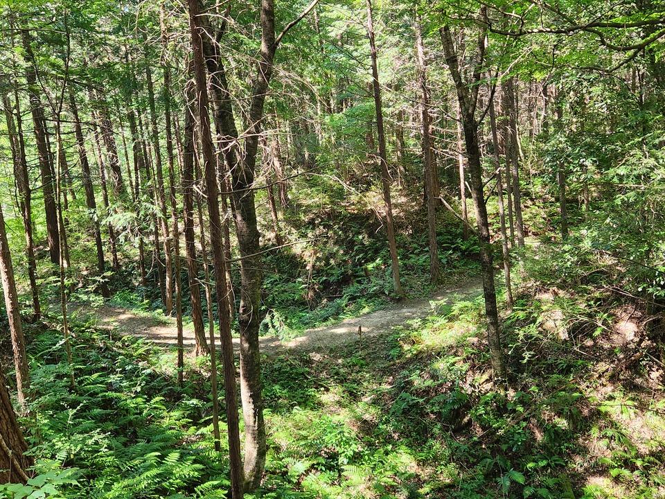 南本城城