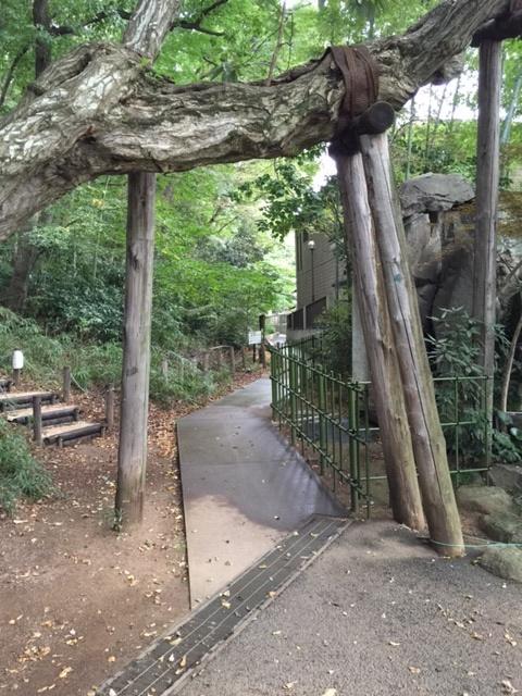 赤塚城