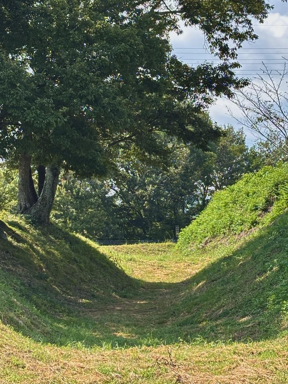鈴岡城